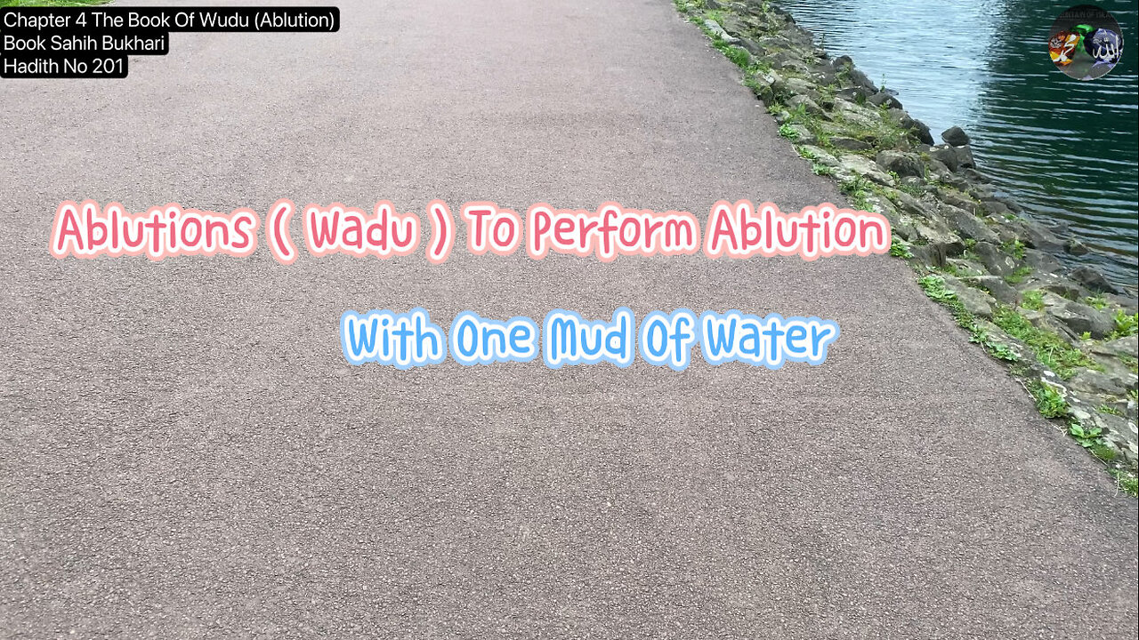 ❤️Ablutions ( Wadu ) To Perform Ablution With One Mud Of Water, Haith 201, Volume4, Sahih Bukhari ❤️