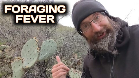 Foraging Fever