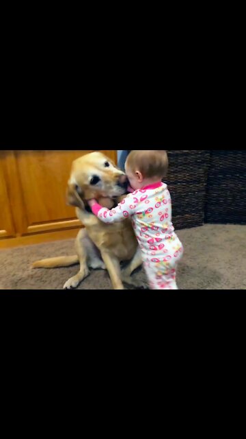 Adorable Babies Playing With Dogs and Cats - Funny Babies Compilation 2022