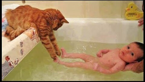 Omg So Cute Cats Best Funny Cat Videos 2021 (Part 6)