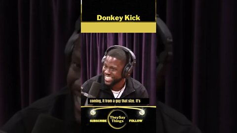 Kevin Hart, Donkey Kick