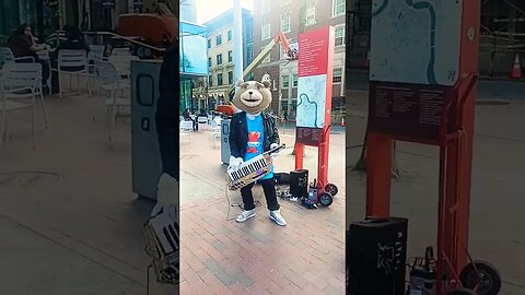 Keytar Bear of Boston Massachusetts. The Bear that rocks Harvard.#entertainment #shorts