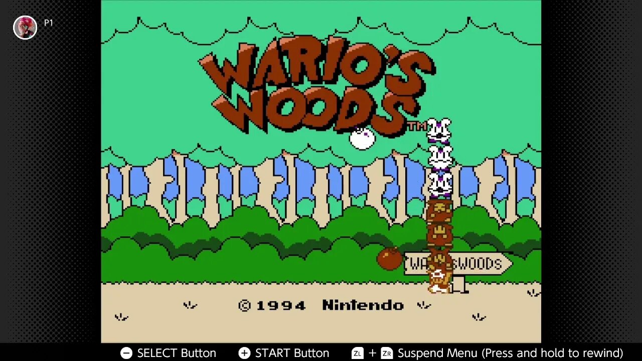 The Drinking Couch - Wario's Woods