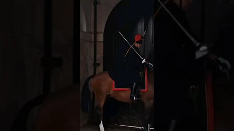 Horse gets starteld #horseguardsparade