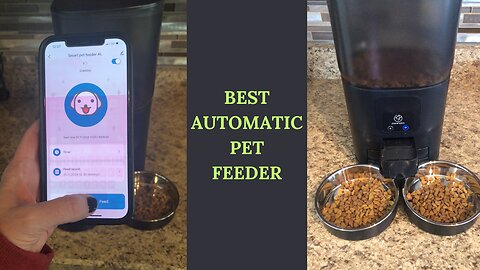 Watch This Pet Feeder in Use!