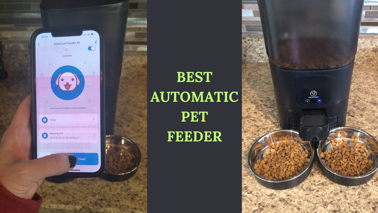 Watch This Pet Feeder in Use!