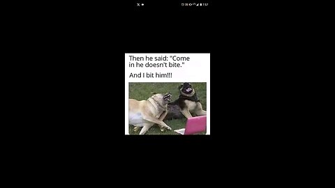 Memes #8