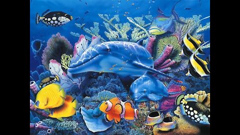 Fish, Coral, Tropical, Reef🐠🐟🐠🐟