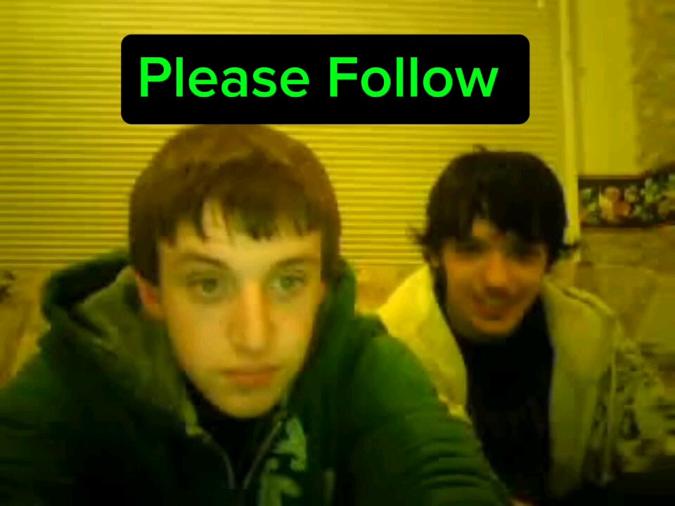 Please Follow The Lion Sleeps Tonight