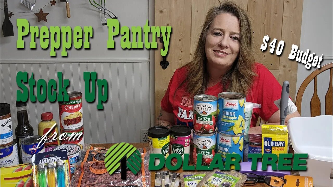 $40 Budget Prepper Pantry Stock Up from Dollar Tree ~ Preparedness