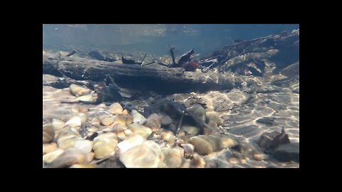 4K Creek behind the house