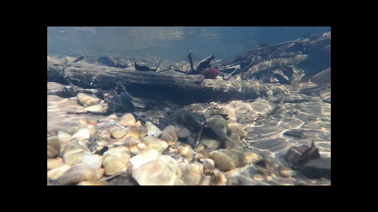 4K Creek behind the house