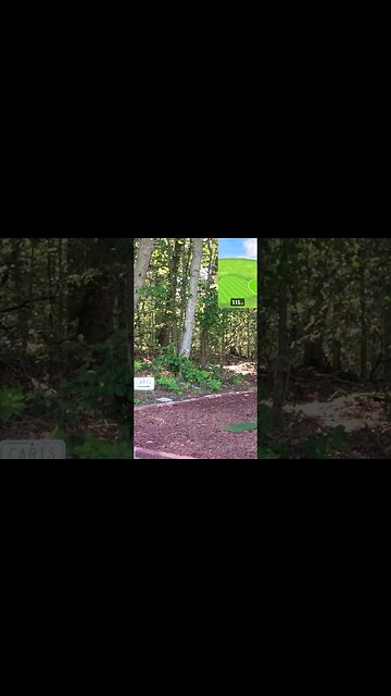 Mahia Golf Club - Hole 2 #Shorts #Golf #Golfing #Golfer #SimGolf #GarminR10 #GolfSimulator #HTH