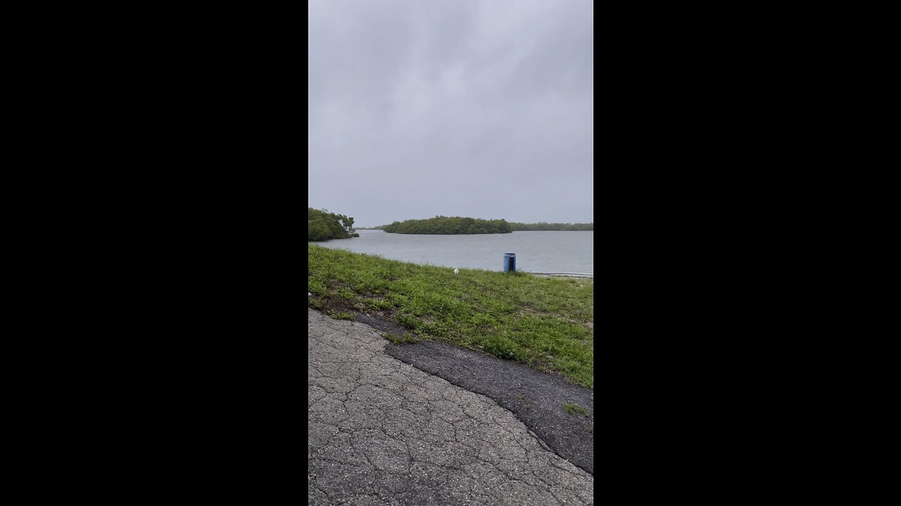 Tropical Storm Alex Update 3 (Vertical) #4K￼