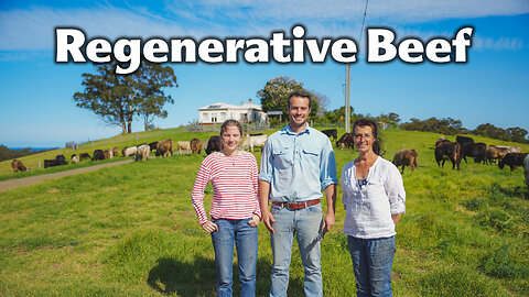 Caluga Regen Farm @ Tilba Tilba NSW Moving Cattle (C'mon C'mon)