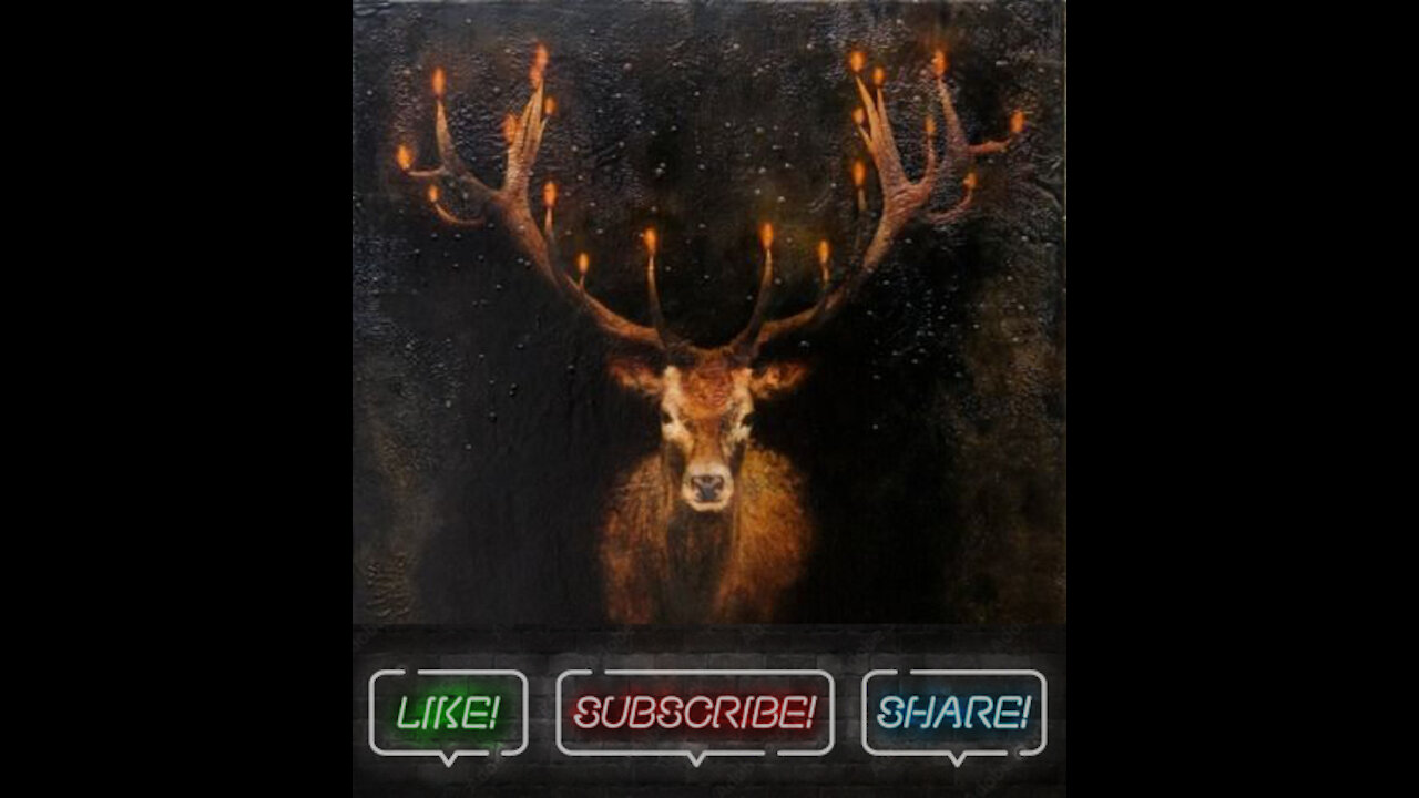 ♫ Лео Рохас Лучшее ♫ The Best Of Leo Rojas ♫