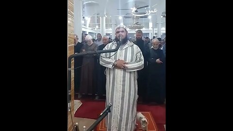 نماز تراویح میں امام اور بلی کا پیار بھرا منظر ۔ماشاءاللہ💚🌴