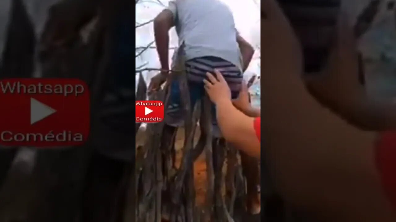 Aprenda a fazer agachamento corretamente #shorts