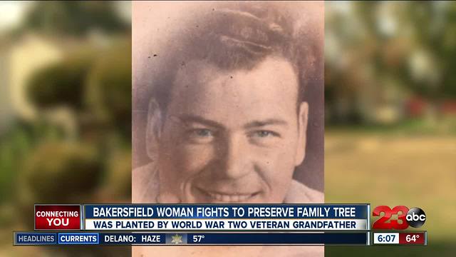 Woman pleads to save family tree