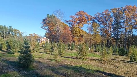 quick walk through a farm in West Bridgewater