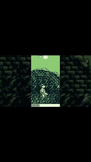 #tartarugasninja #gbc #videogame #youtubeshorts #youtube #anime #console #game #gamer #retro #games