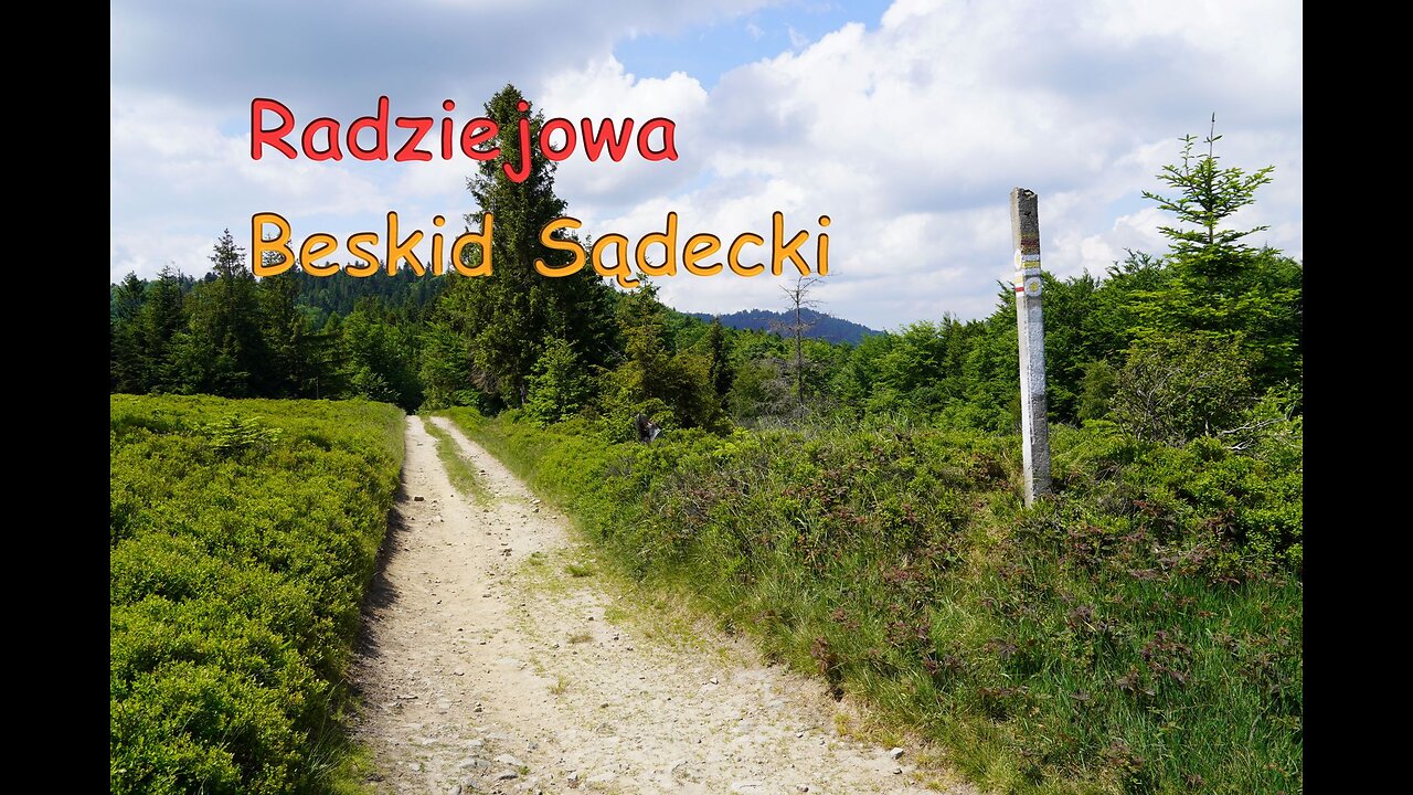 Radziejowa (1262 m n.p.m.) - Beskid Sadecki - Korona Gór Polski