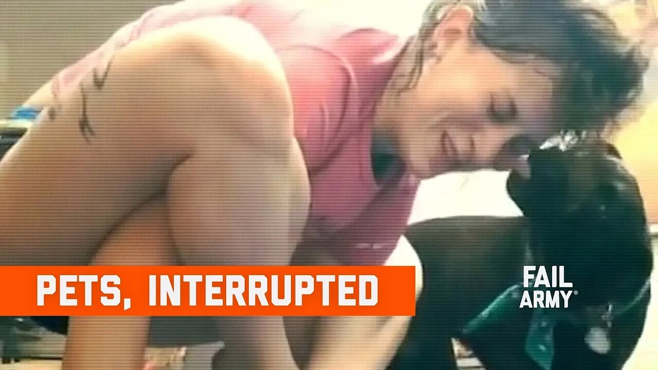 Pets, Interrupted (January 2020) | FailArmy