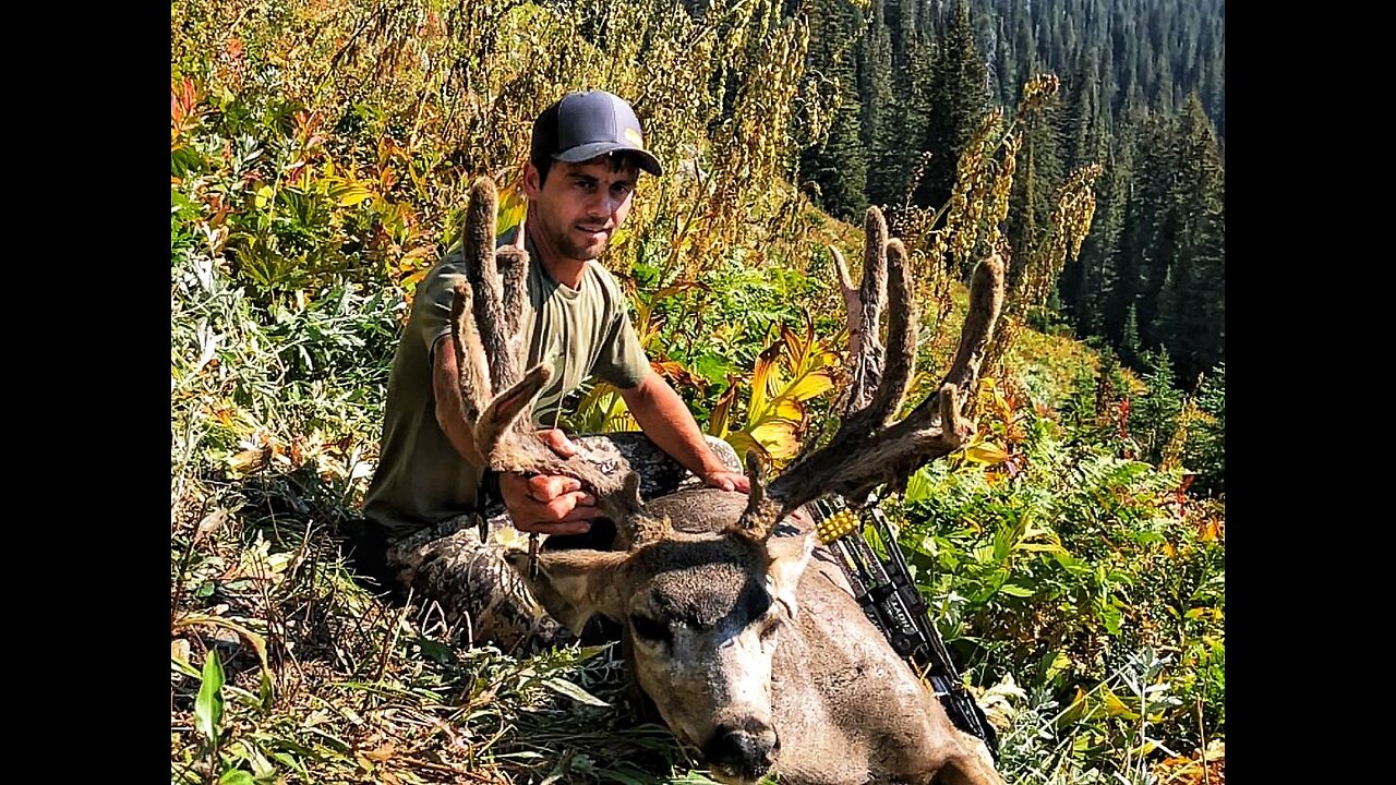 Archary High Country Public Land Mule Deer (DIY) ~ Episode 9