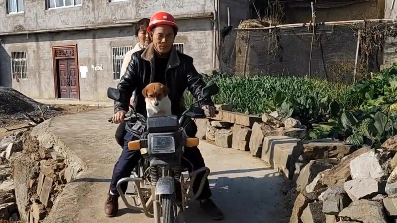 真是笑不活了,爸妈带着小狗去吃宴席,却把女儿留在家里看家,临行前父亲慈祥的微笑和意味深长的眼神亮了