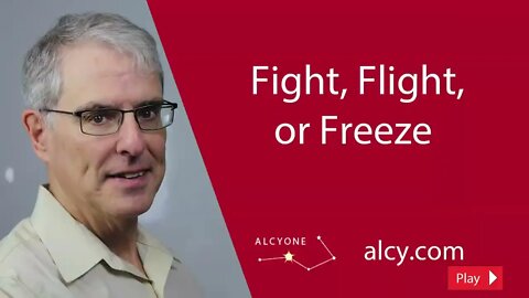 Fight, Flight, or Freeze