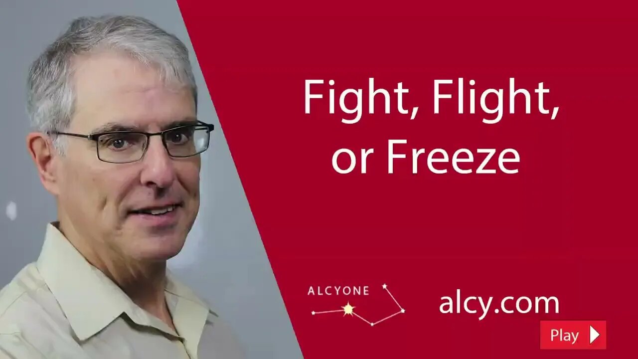 Fight, Flight, or Freeze