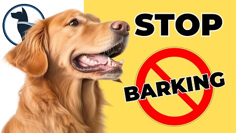 All Things Barking 🔊 & Getting Your Kids Involved in Your Training Dogs — 027: Q&A/Dog Talk