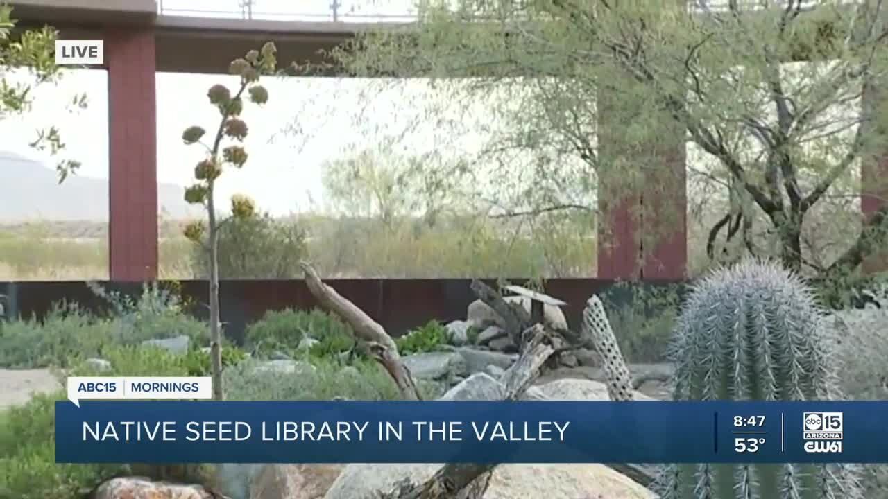 Native Seed Library in the Valley helps spread native plants