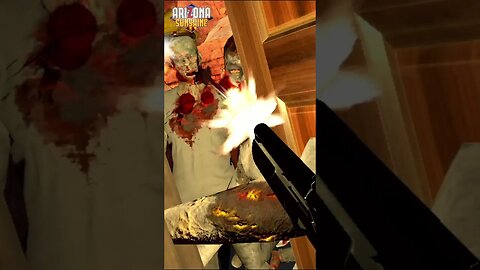 Arizona Sunshine #shorts VR Zombie Shotgun