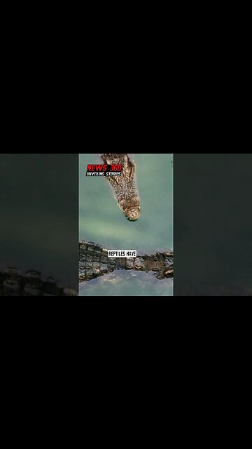 Dozens of crocodiles in China escape during floods