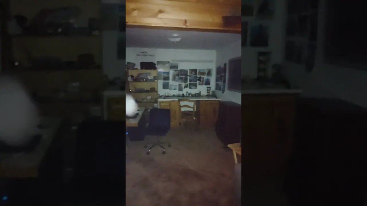 Playful orb circles in the room- Cari Dell 11-9-22