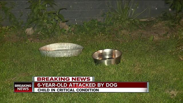 Cleveland girl mauled by family dog