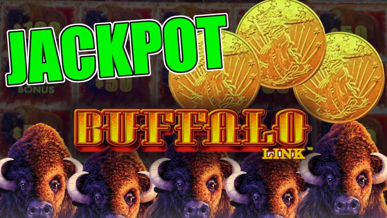 📀 High Limit Buffalo Link Bonus Round Jackpots 📀 Big Wins on Max $50 Bet Spins!