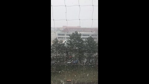 snowing day in vienna