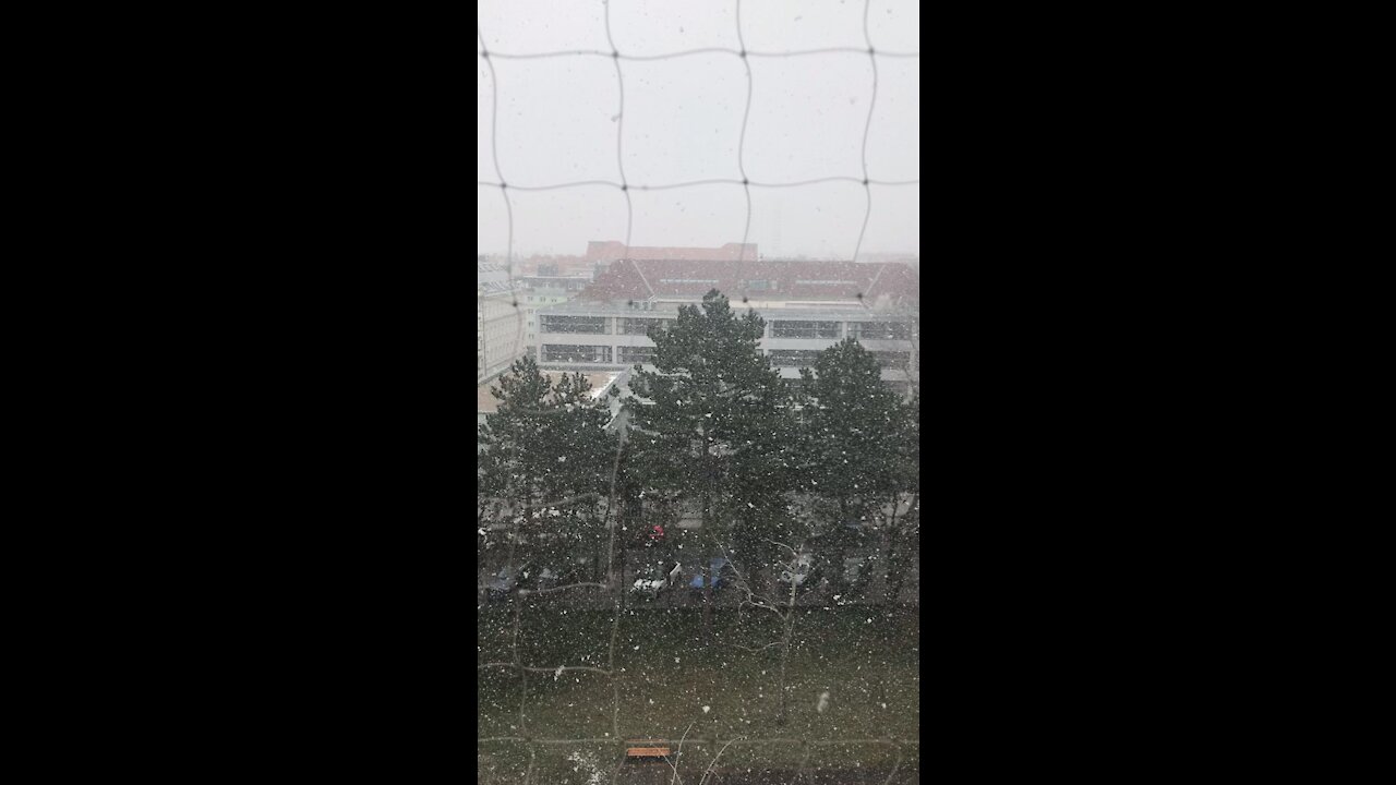 snowing day in vienna