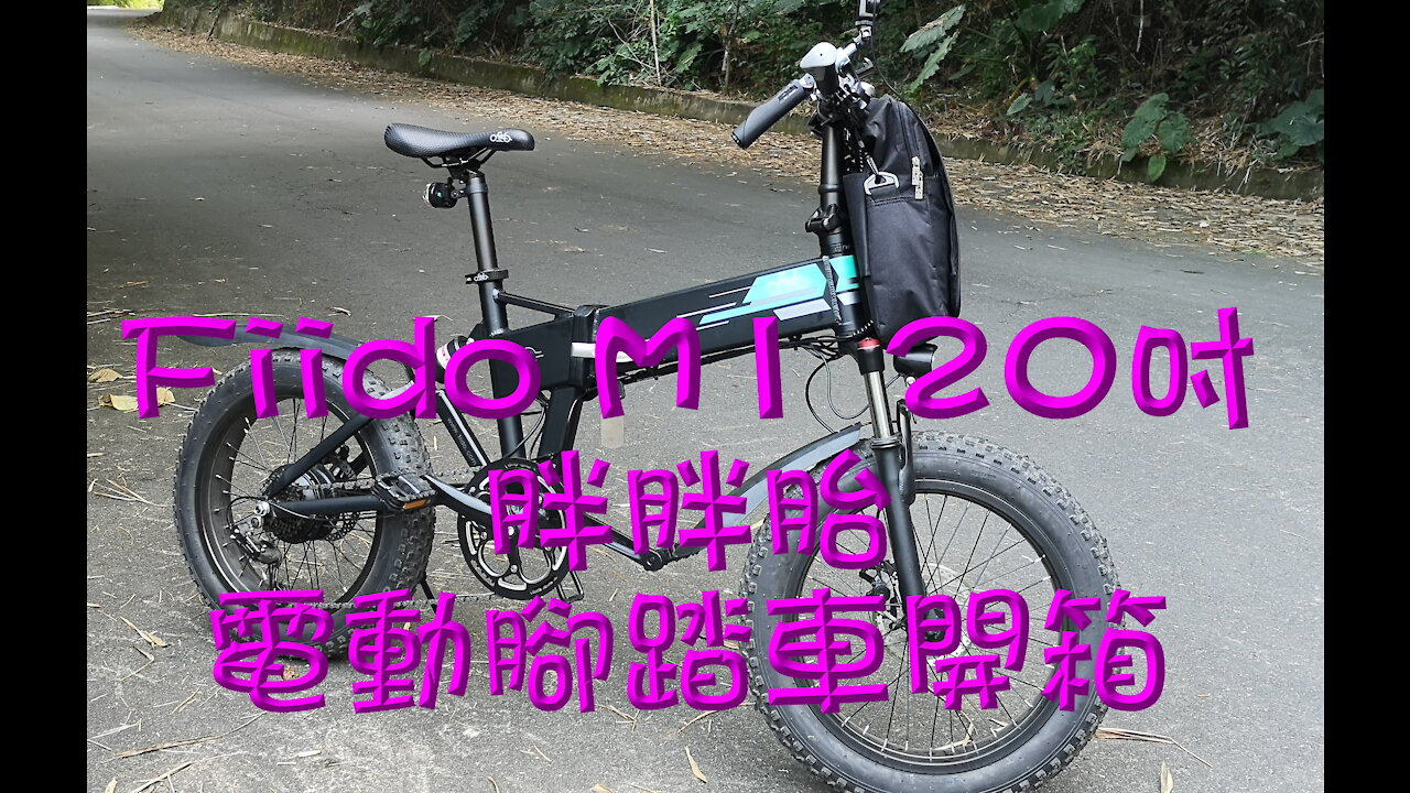 Fiido M1 20吋胖胖胎電動腳踏車, 摺疊車, 電輔車, 登山車開箱