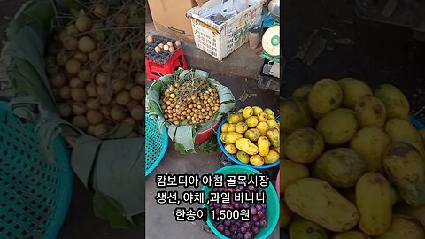 캄보디아 아침 골목 시장, 바나나 한송이 1,500원, 5천원이면 야채가 가득