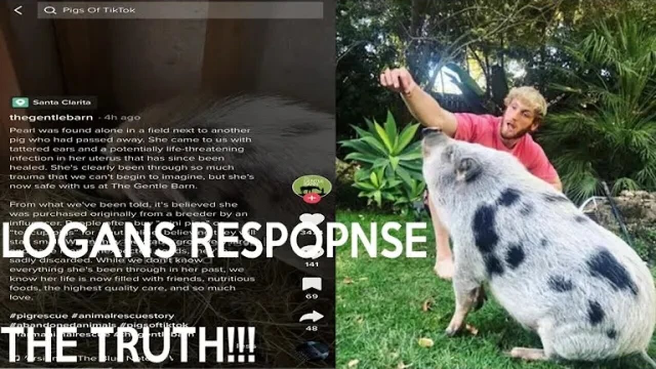 Logan Paul Responds About his Abandoned Pet Pig (The TRUTH)