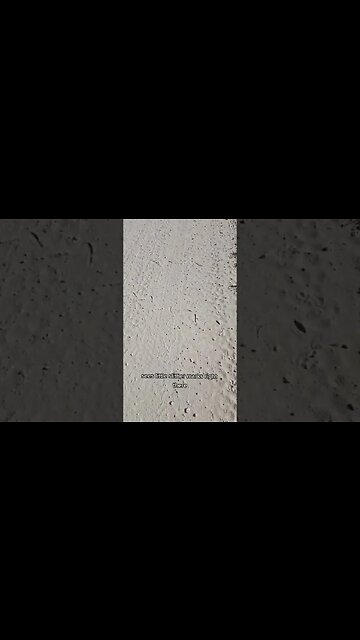 Black racers are always a challenge