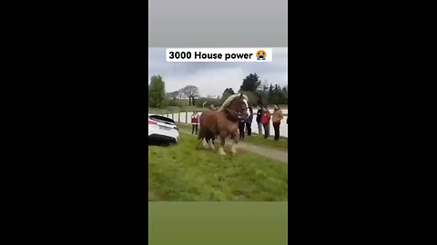 3000 Horse Power