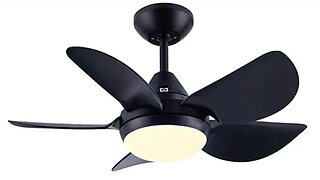 CJOY Ceiling Fan with Lights