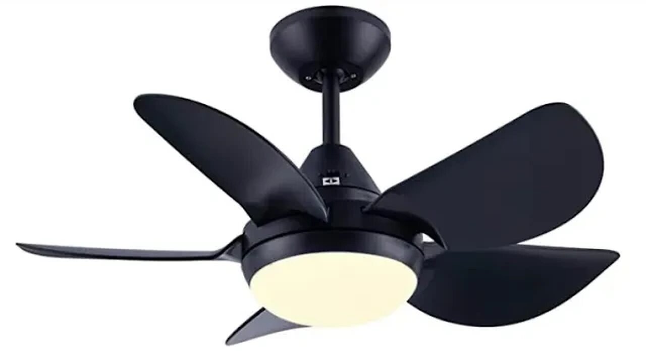 CJOY Ceiling Fan with Lights