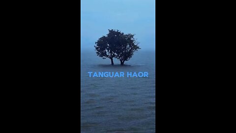 "Exploring the Serenity of Tanguar Haor: A Natural Wonderland"