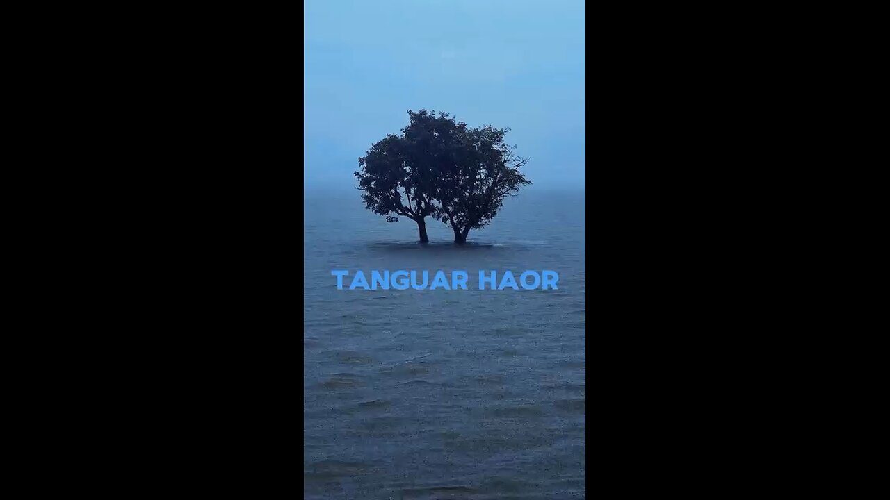 "Exploring the Serenity of Tanguar Haor: A Natural Wonderland"