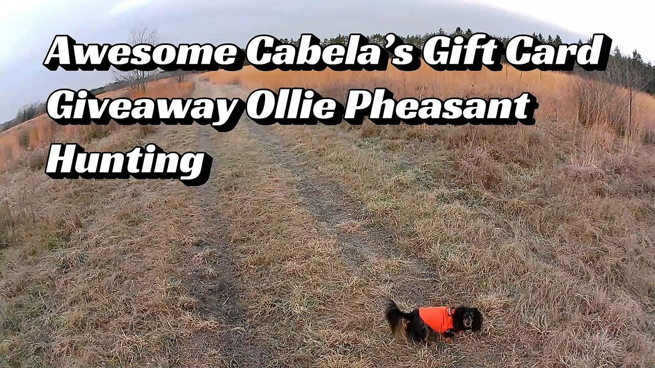 Ollie & I Pheasant Hunting